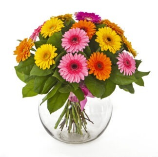 זר פרחים גרברות קלאסי – זר צבעוני ושמח - פרחי עירית, משלוחי פרחים וחנויות פרחים בתפוצה ארצית