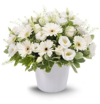 סידורי פרחים, חגיגית בלבן, פרחי עירית - חנות פרחים ומשלוחי פרחים בארץ ובעולם