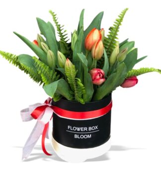 קופסת פרחים הולנד – סידור טוליפים בקופסא- פרחי עירית, משלוחי פרחים וחנויות פרחים בתפוצה ארצית