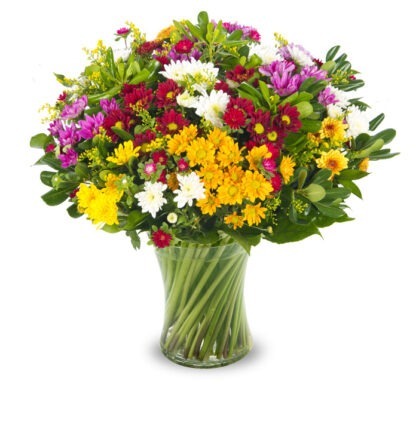 זר פרחים פריחות האביב – זר חרציות אביבי ומגוון - פרחי עירית, משלוחי פרחים וחנויות פרחים בתפוצה ארצית