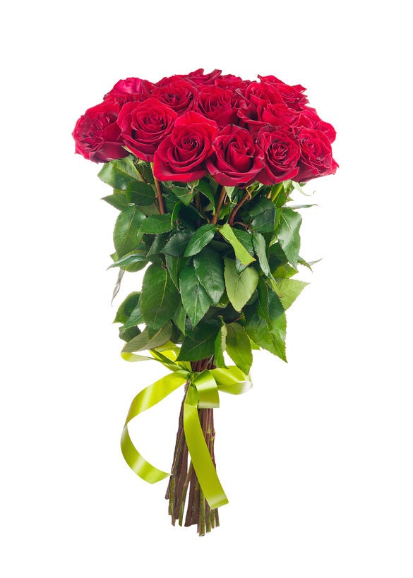 זר פרחים רוזה – זר ורדים קלאסי ואלגנטי - פרחי עירית, משלוחי פרחים וחנויות פרחים בתפוצה ארצית