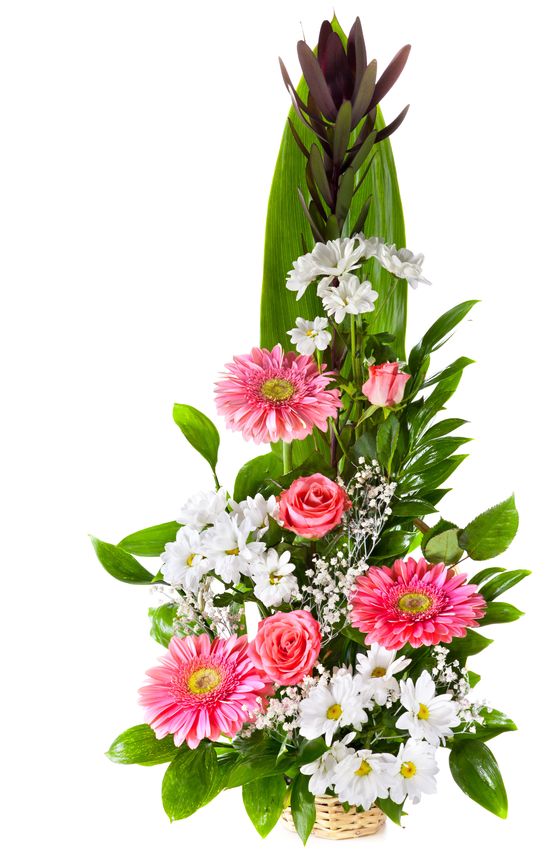סידור פרחים סופיה – סידור פרחים מדורג - פרחי עירית, משלוחי פרחים וחנויות פרחים בתפוצה ארצית