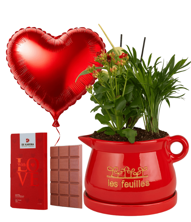 קוקטייל צמחים בקומקום אדום עם בלון לב ושוקולד