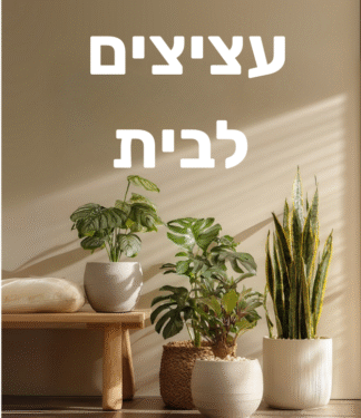 עציצים לבית