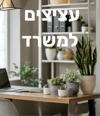 עציצים למשרד